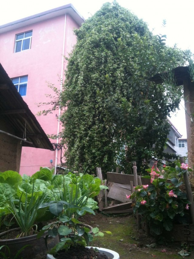 2014-04-04 120518.jpg