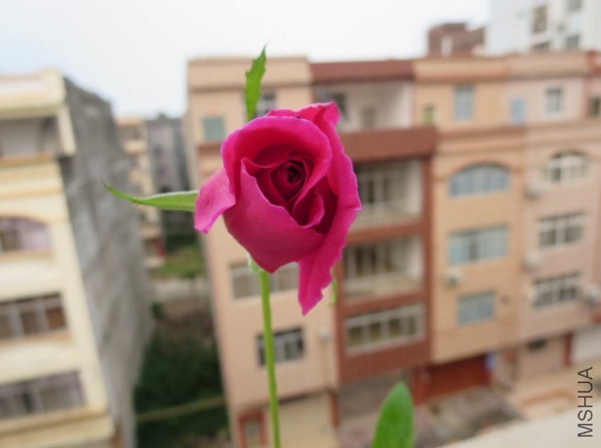 QQͼƬ20140404215728.jpg