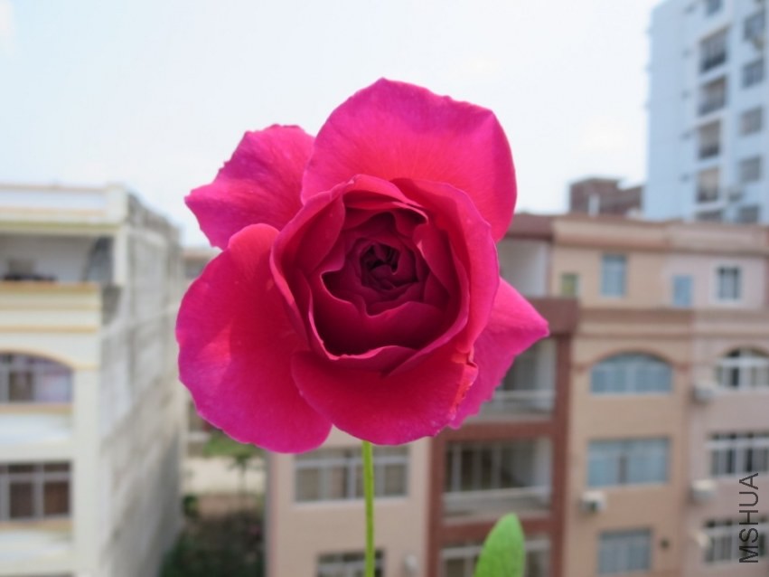 QQͼƬ20140404215746.jpg