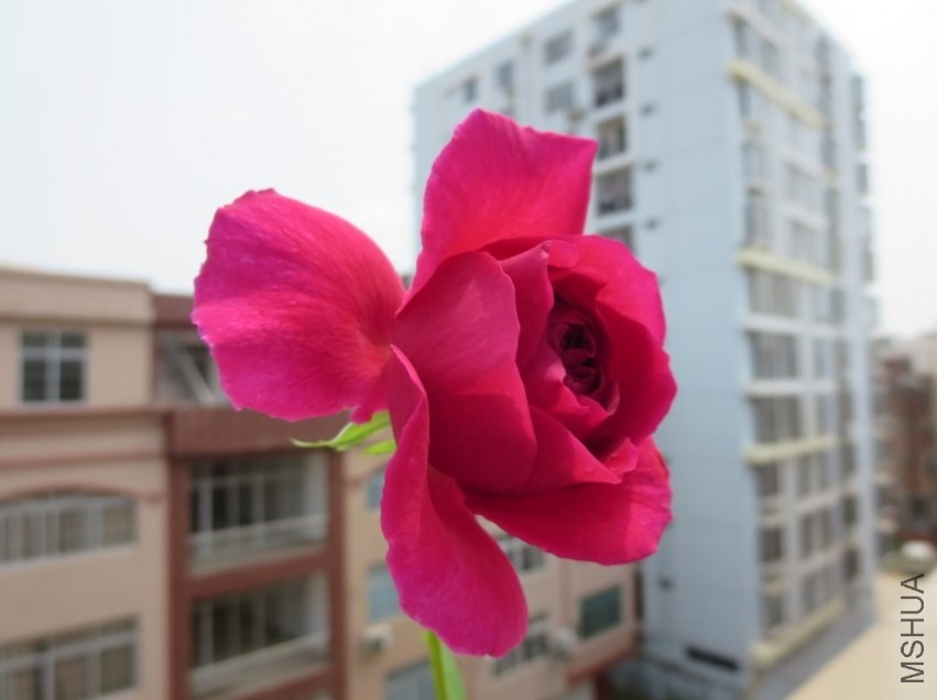 QQͼƬ20140404215800.jpg