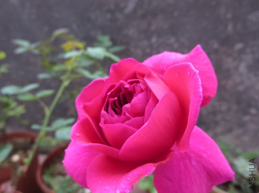 QQͼƬ20140404215817.jpg