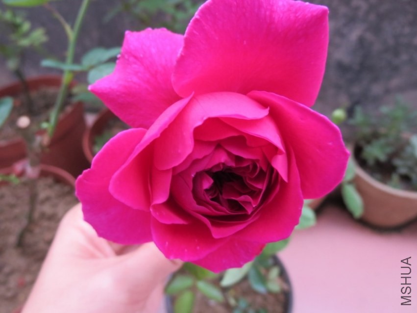 QQͼƬ20140404215832.jpg