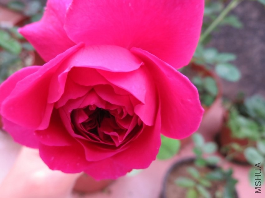 QQͼƬ20140404215844.jpg