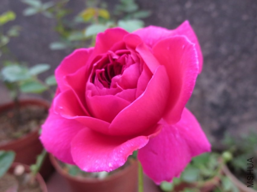 QQͼƬ20140404215857.jpg