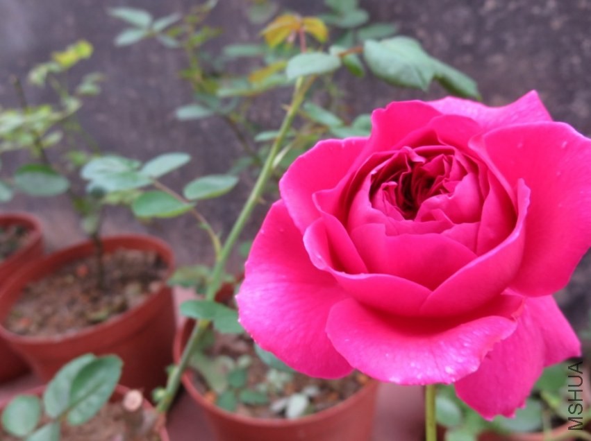 QQͼƬ20140404215918.jpg