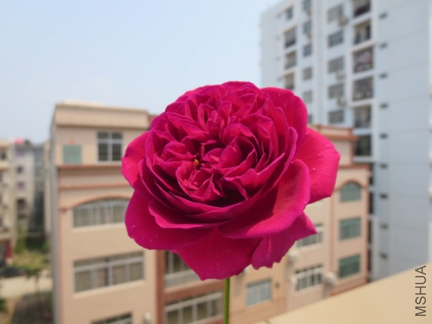 QQͼƬ20140404215931.jpg