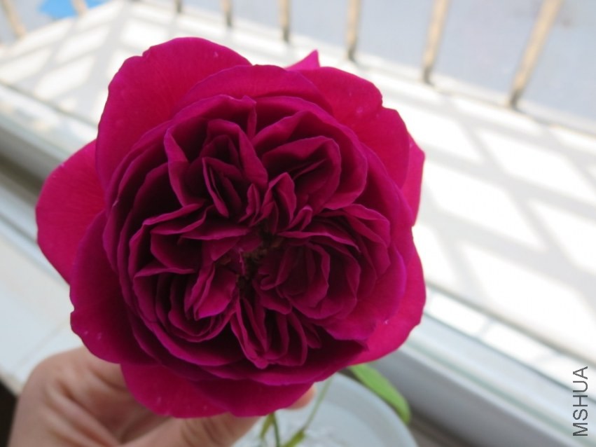 QQͼƬ20140404215953.jpg