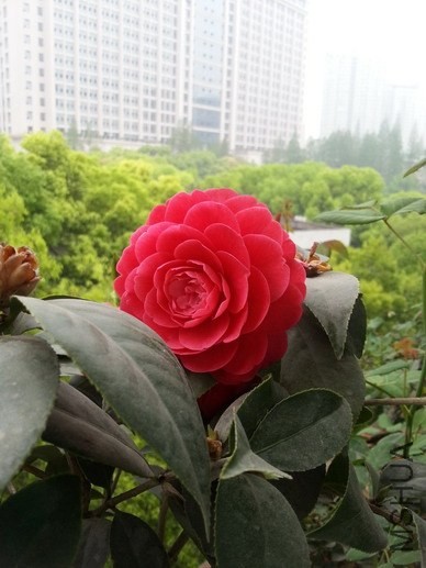 20140405_101920_��С��С.jpg