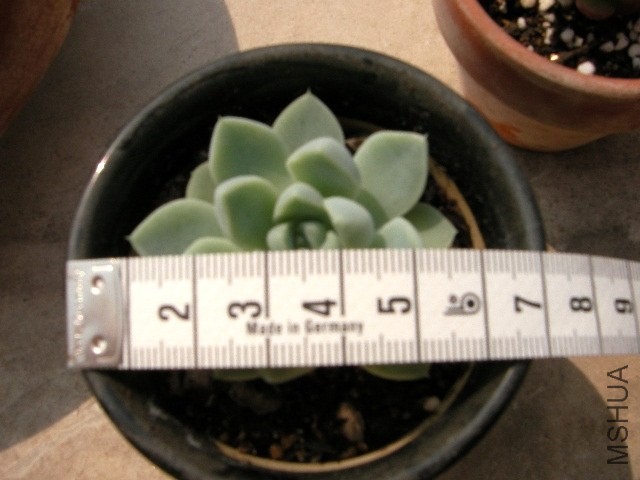 SANY0431.JPG