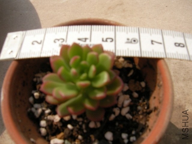 SANY0434.JPG