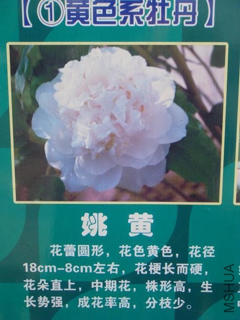 DSC01512.JPG