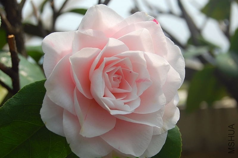 DSC_02130213.JPG