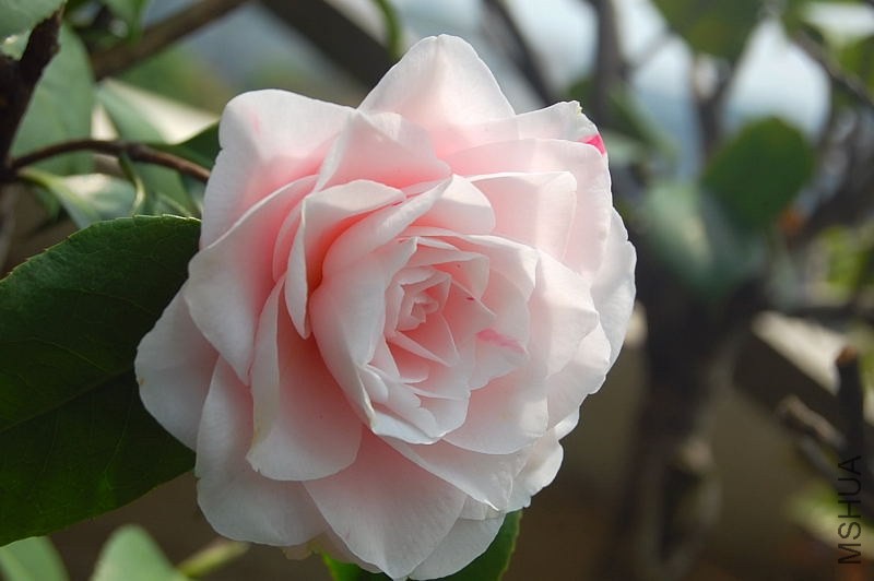 DSC_02120212.JPG