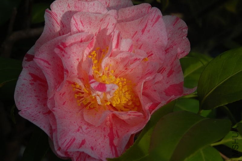 DSC_02570257.JPG