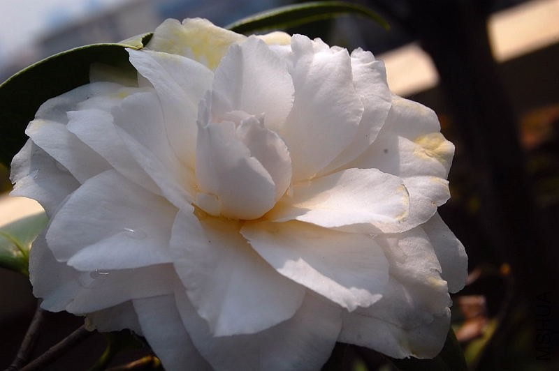 DSC_02420242.JPG