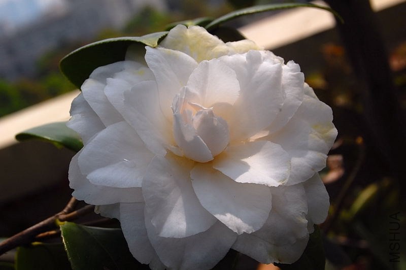 DSC_02440244.JPG