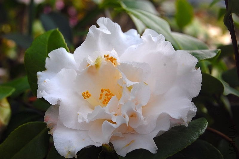 DSC_02560256.JPG
