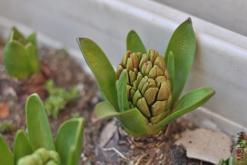 20140315 �����ӻ���3.jpg