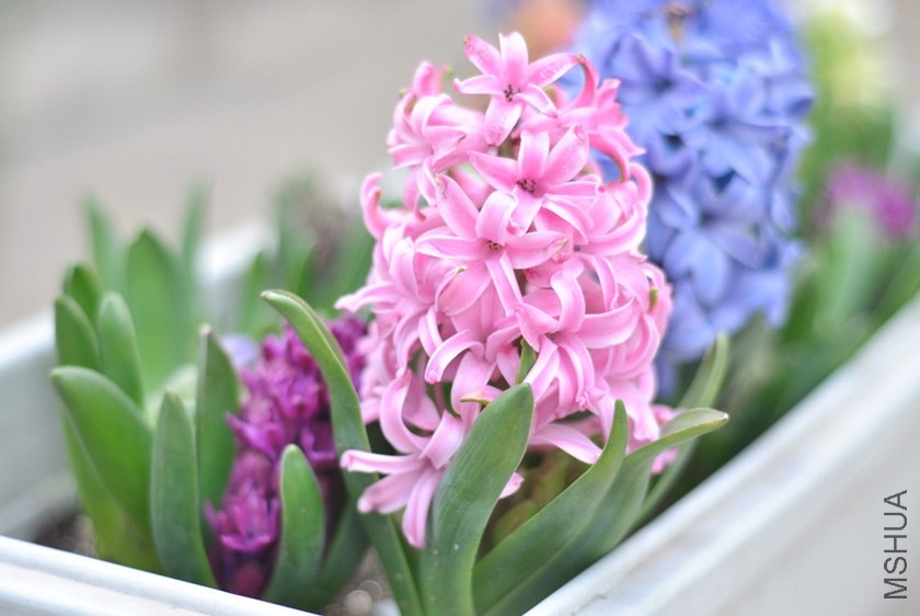 2014-03-23-�����������.jpg