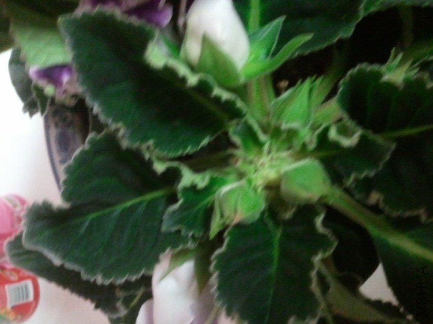 2014-04-05 20.43.42.jpg