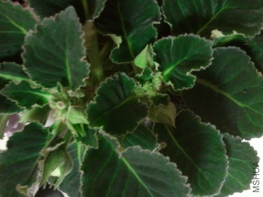 2014-04-05 20.43.56.jpg