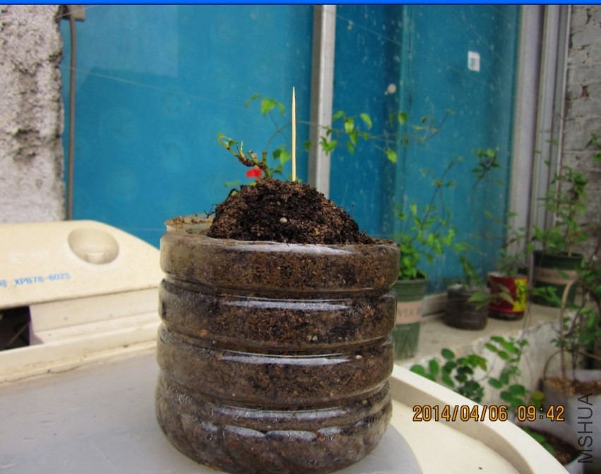 QQͼƬ20140405214139.jpg