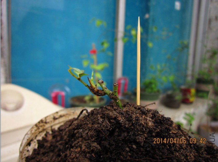 QQͼƬ20140405214144.jpg