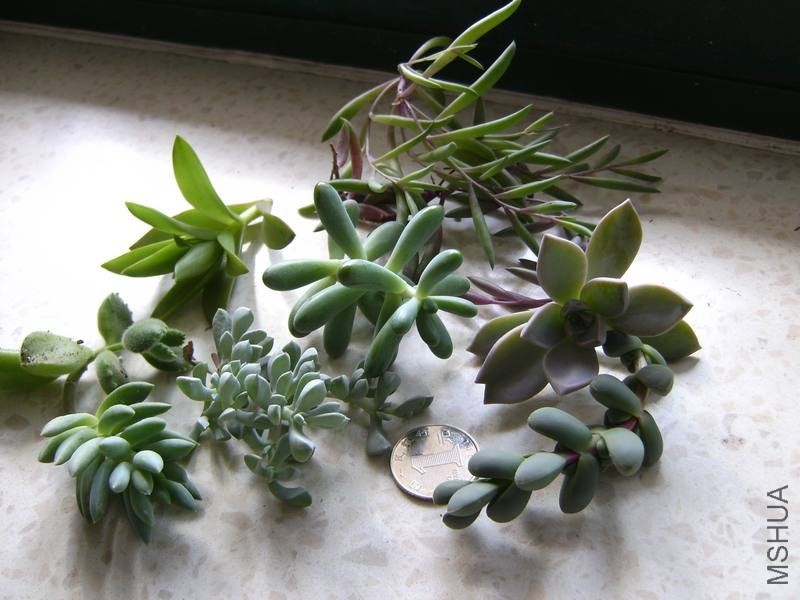 PICT0025.jpg