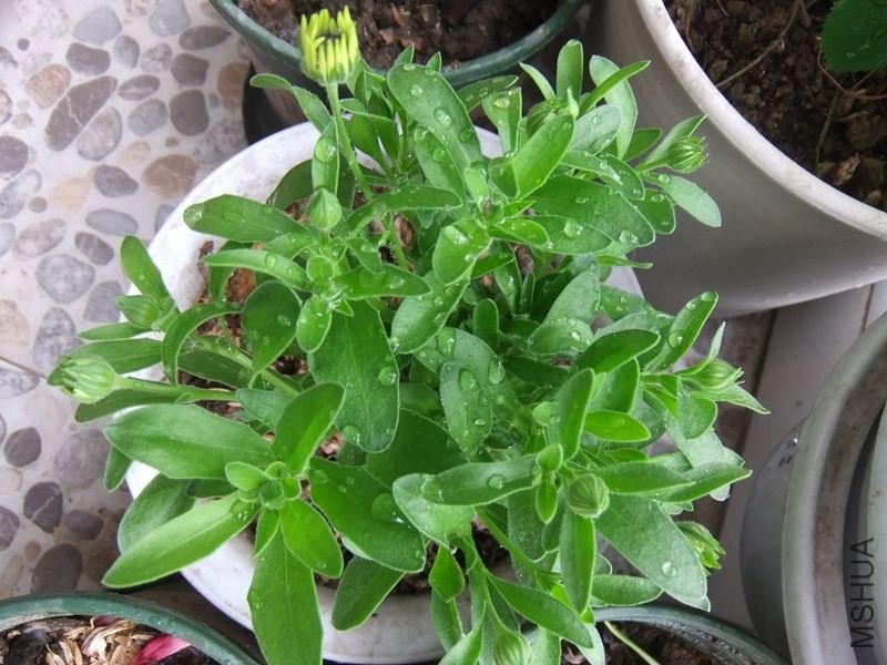 DSCF3636_����.jpg