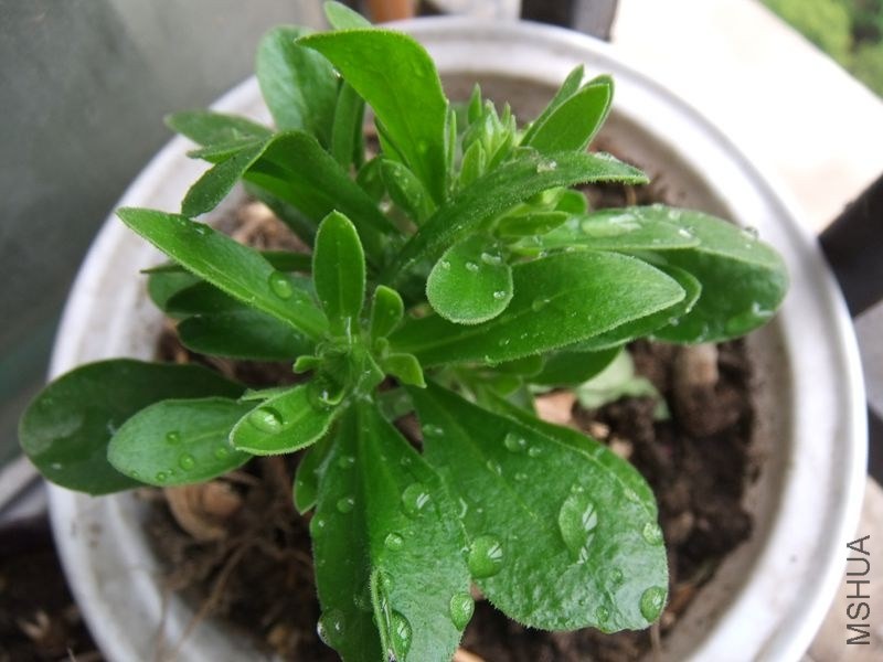 DSCF3637_����.jpg