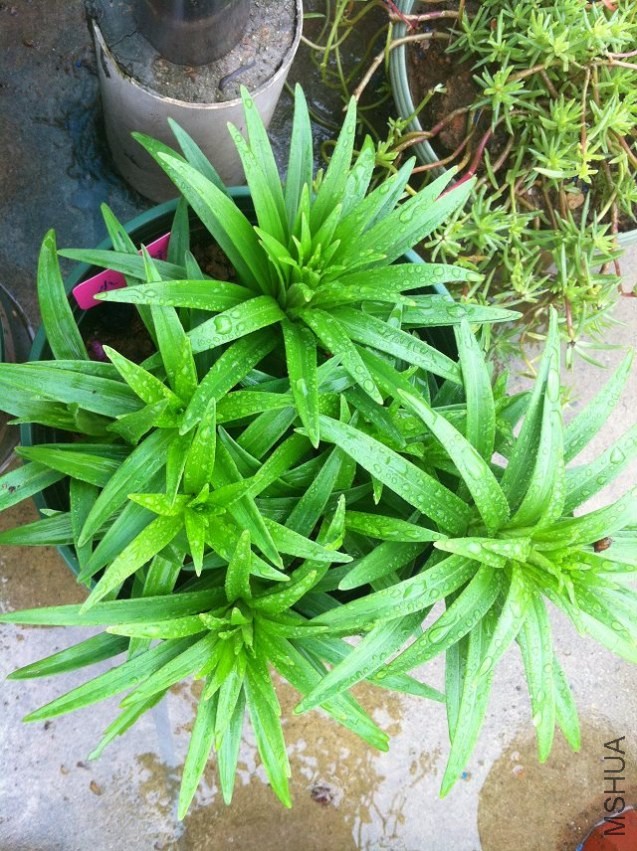 ���˵������С���