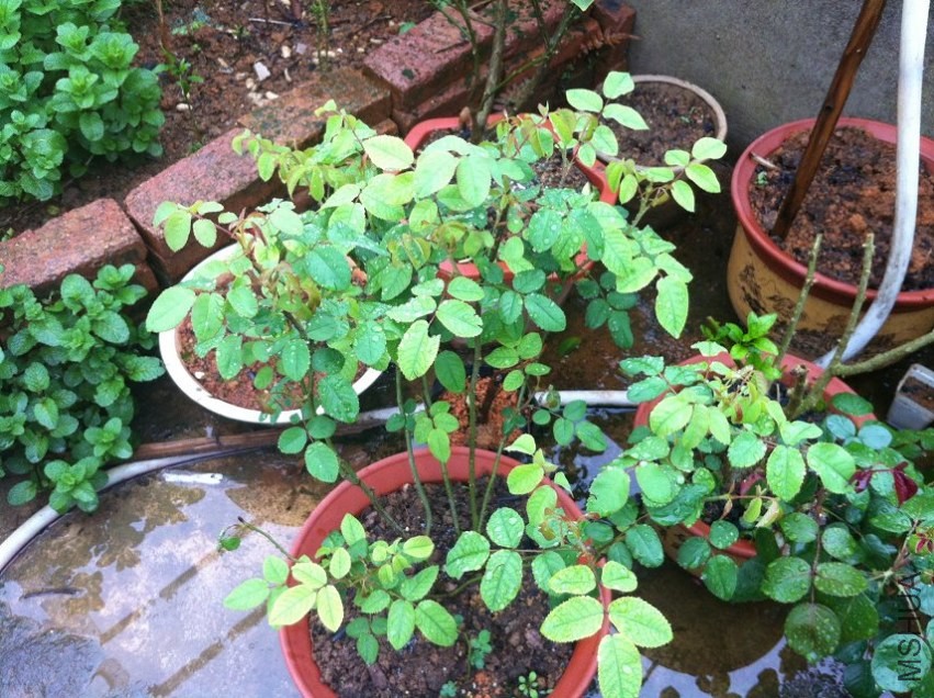 ����������һ������绹û��������