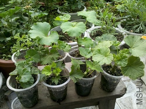 2014-04-06_18-10-59_294.jpg