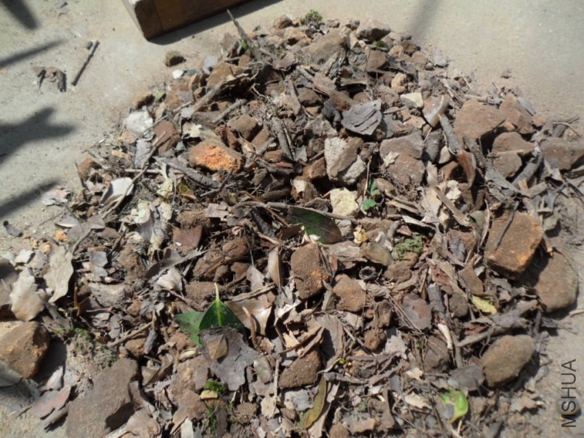 SAM_1174.JPG