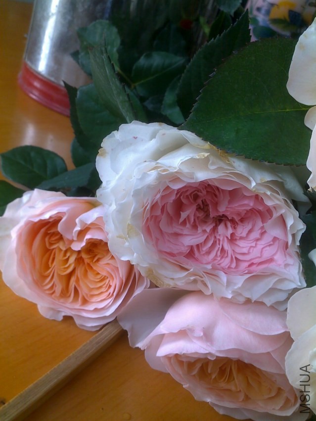 20140406988.jpg