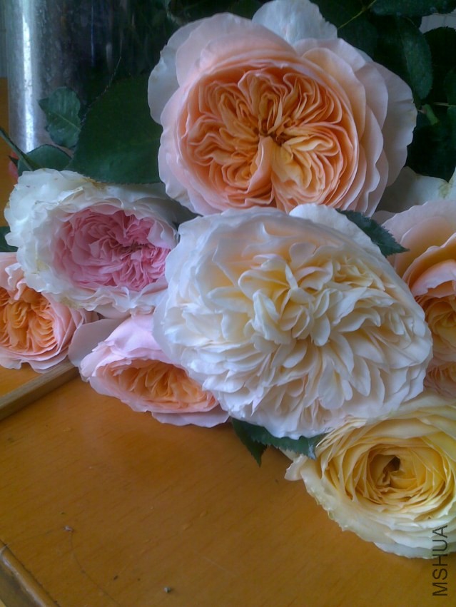 20140406985.jpg