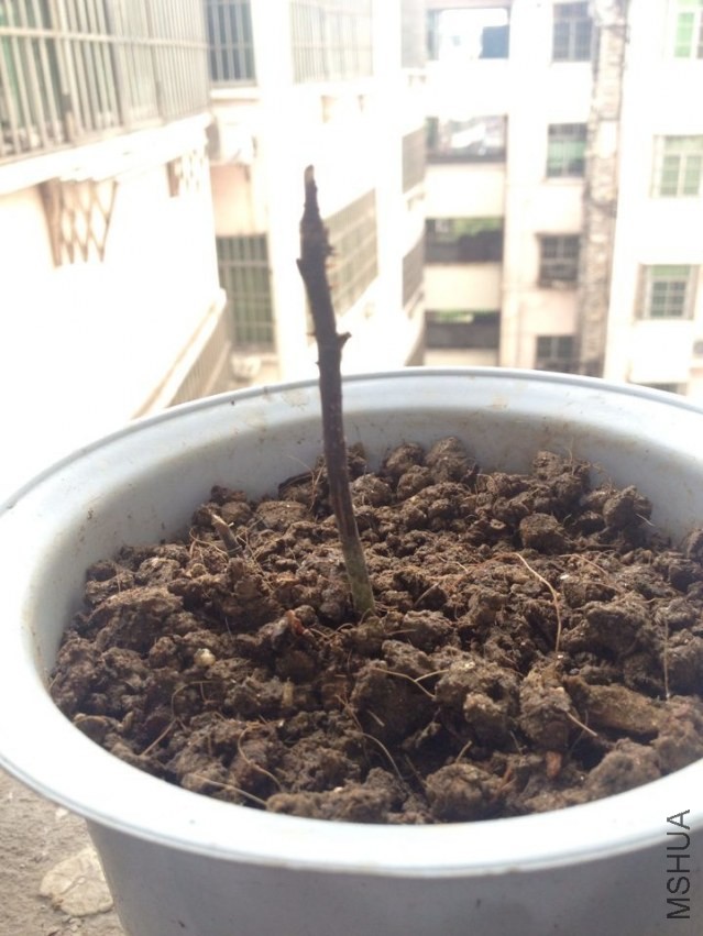 QQͼƬ20140407125408.jpg