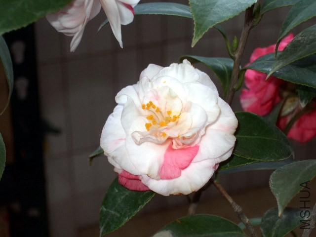 02.JPG