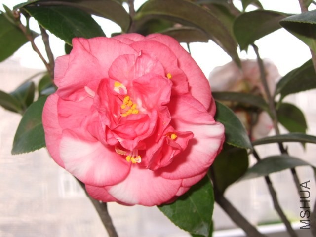 05.JPG