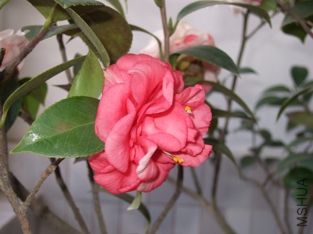 06.JPG