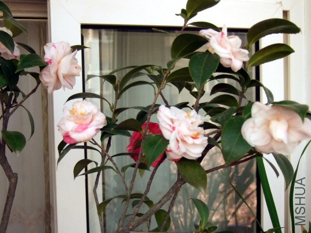 09.JPG
