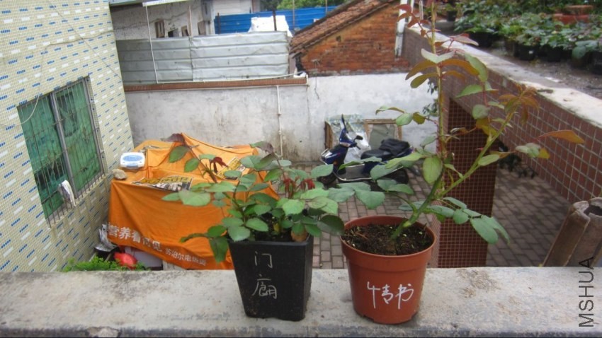 c.jpg