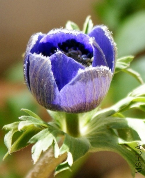 QQͼƬ20140407214201.jpg