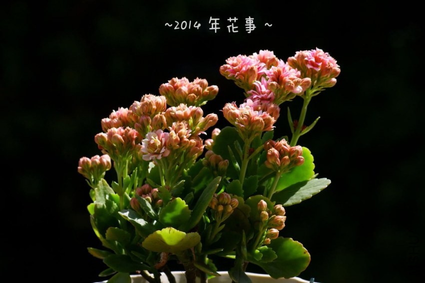 05.jpg