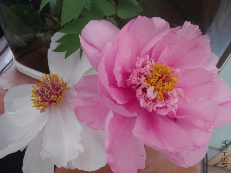 CAM00091.jpg