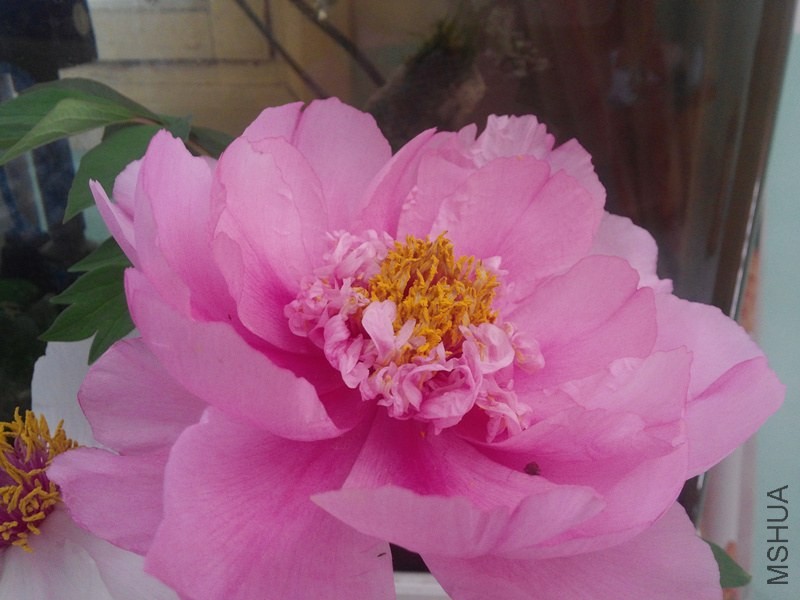 CAM00094.jpg