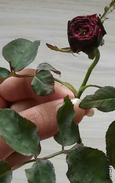 QQͼƬ20140408111125.jpg