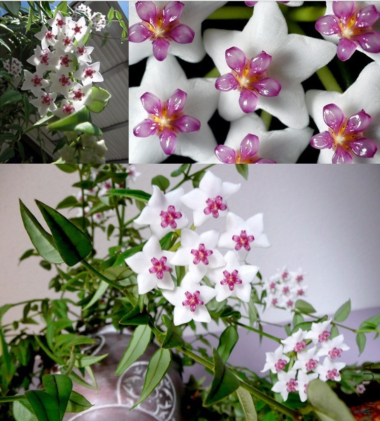 QQͼƬ20140408133906.jpg