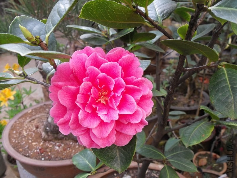 DSCF3356.JPG