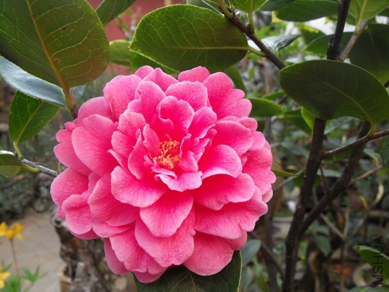 DSCF3357.JPG